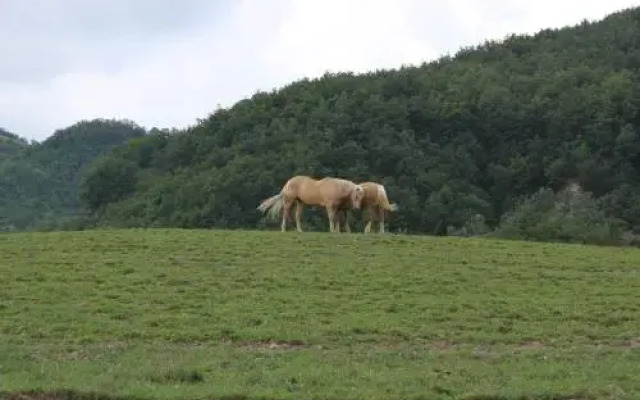 Agriturismo Cà Bella
