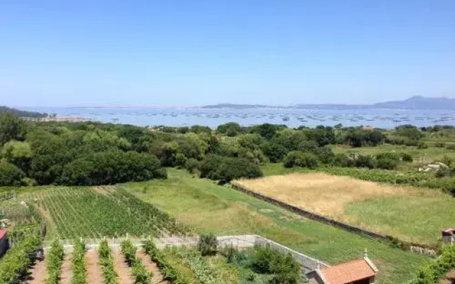 Apartamentos Arosa Ogrove