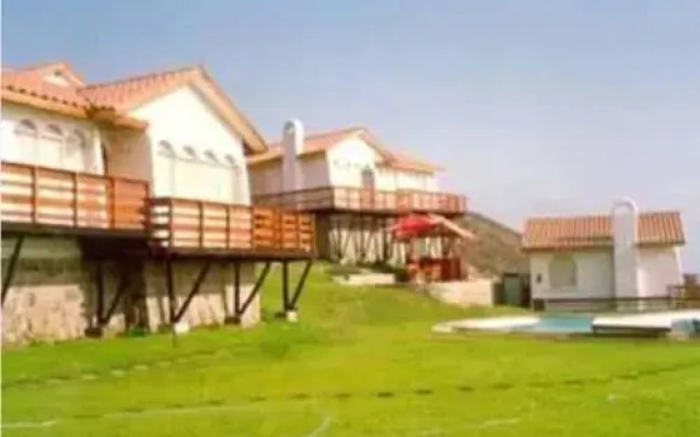 Las Gaviotas