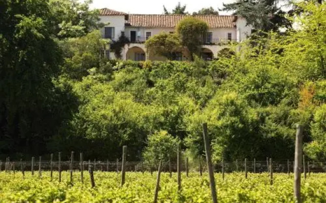 El Cerrillo Bed & Breakfast