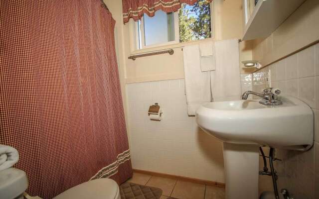 Owl Pine Cabin 1551 by RedAwning