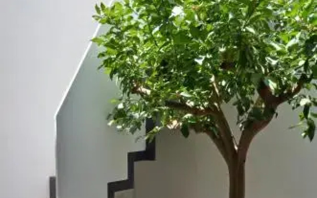 Numero 22 - casa vacanze