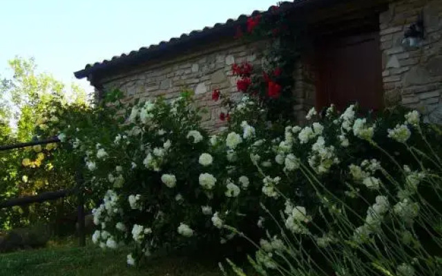 Country House Il Biroccio