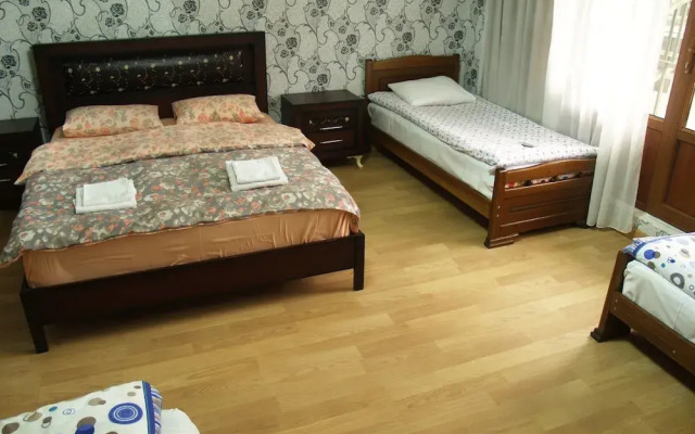 Mestia Hotel Level