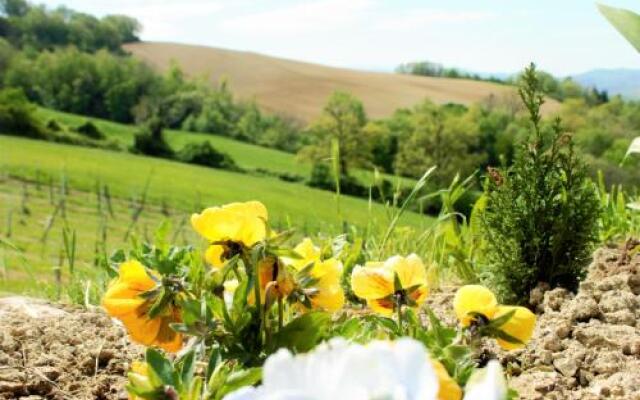 Agriturismo Il Podere