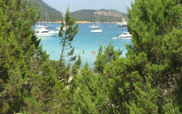 Le Ginestre-cugnana Verde