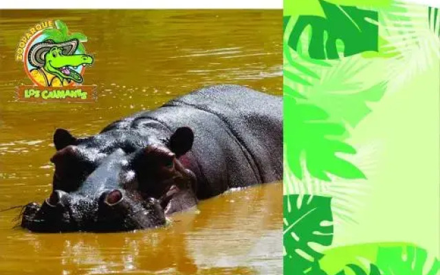 Zooparque Los Caimanes