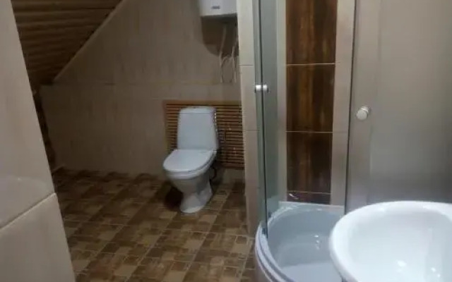 Dom s banej v Lyubyatovo