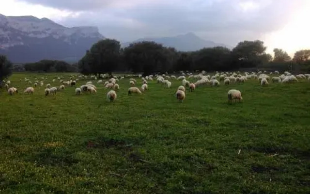 Agriturismo Vistamare