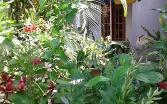 Samans Guest House