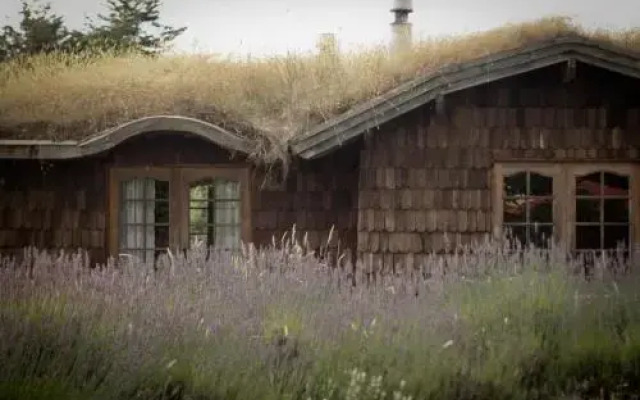 Hostal Zapato Amarillo