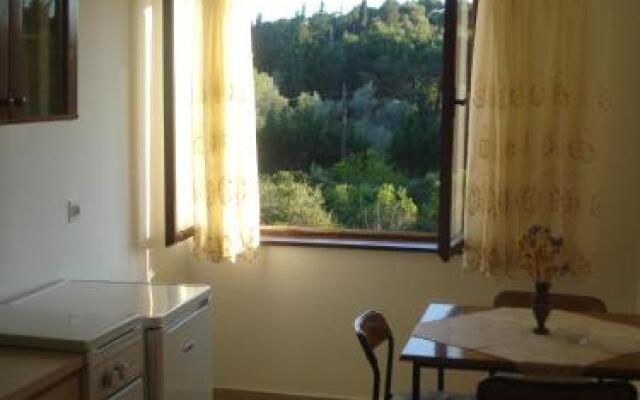 Apartments Vidakovic