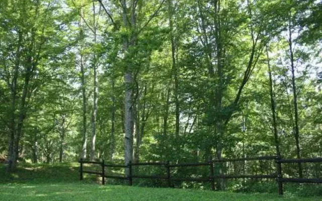 Campeggio Di Schia
