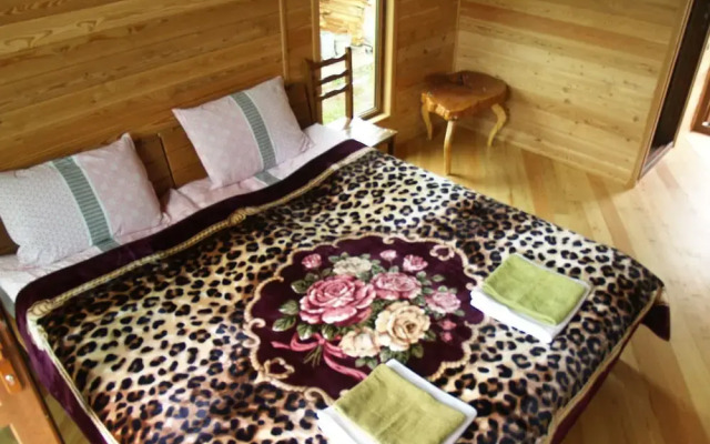 Mestia Hotel Level