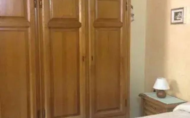 B&B Chorisia