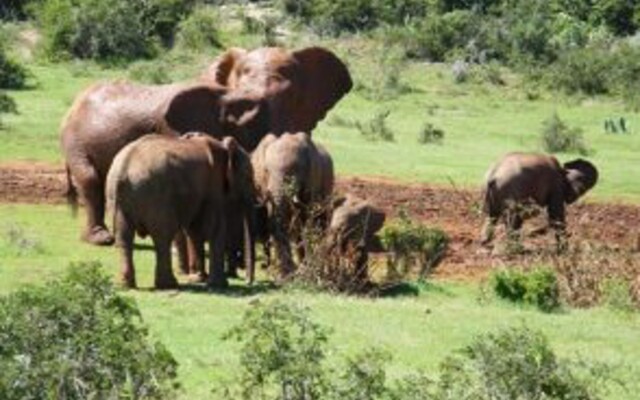 Kudu Ridge Game Ranch Guest House