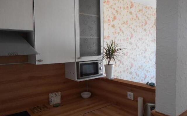 Apartment Chapaeva 44