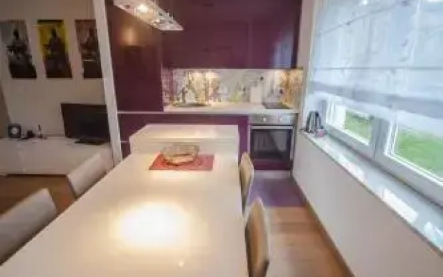 Apartment Tesla
