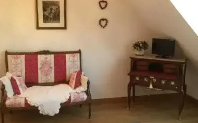 Les Prémices De La Forêt