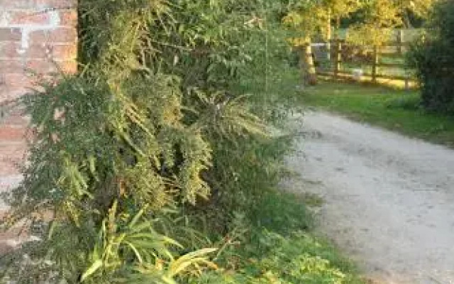 Greenway Farm