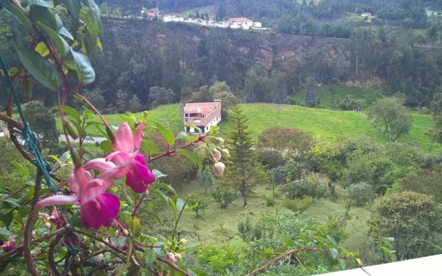 Terrazas Hospedaje