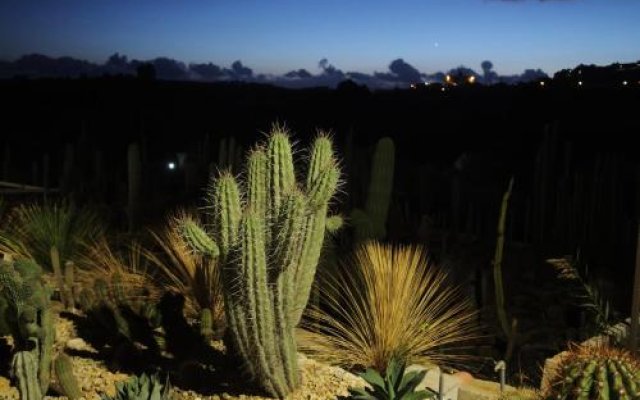 Botanical Park Garden Cactus