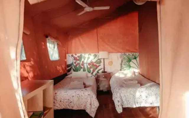 Glamping Dehesa de las Yeguas