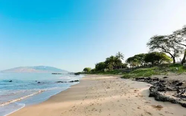 Maui Kamaole #K-209