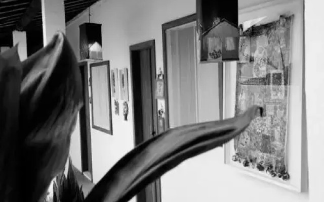 Pousada Cravo e Canela