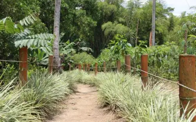 Casa Campestre Terrazas del Palmar