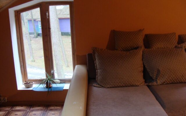 Sosnovaia Poliana Hostel