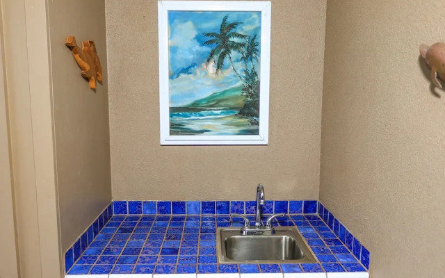 Hale Ono Loa #316 by RedAwning