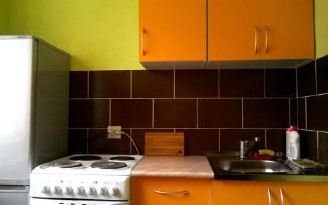 Apartment on Tsiolkovskogo 66