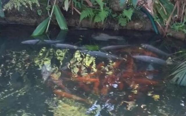 Recanto Ipê Amarelo