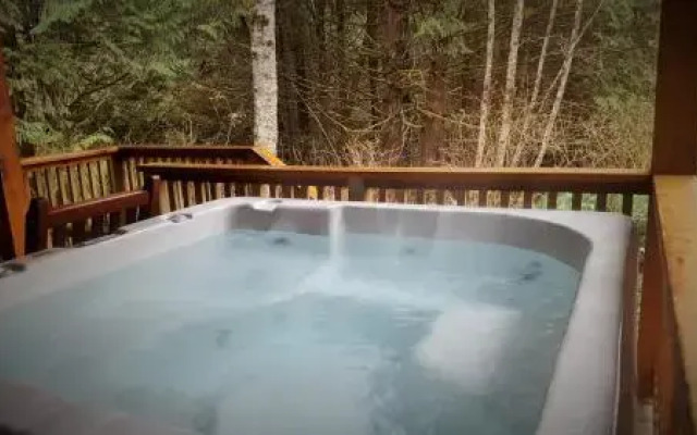 Evergreen Forest Cabins