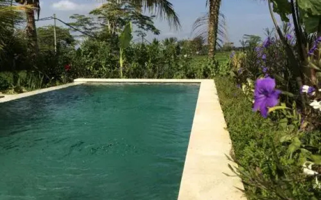 Ubud Rice Field Villa