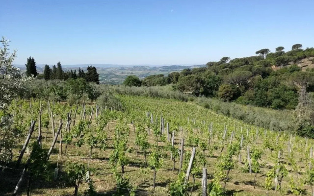 Agriturismo La Tinaia