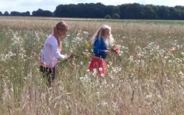 B & B het groene hart