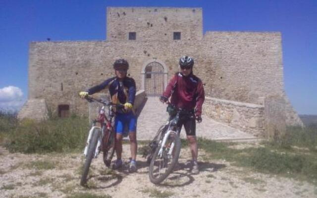 B&B Palatium S.G.