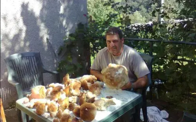 B&B Il Bosco delle Fate