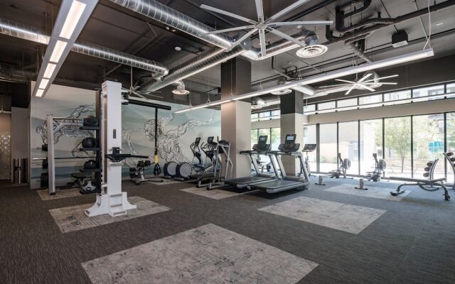 Stay Alfred on 16th Street