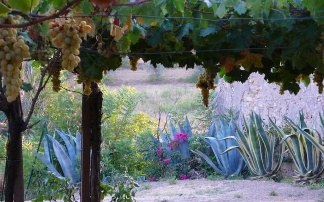 Tenuta Bartoli Maison de charme