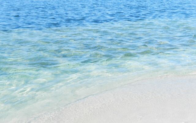 Maldives Guests House Whale Shark Inn