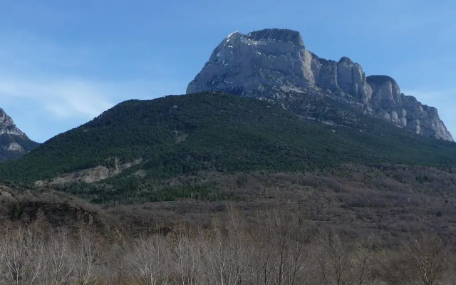 Escalona 11