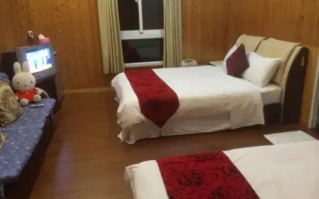 Phoenix beetle ecology homestay