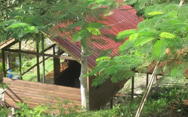 Treetops Lodge