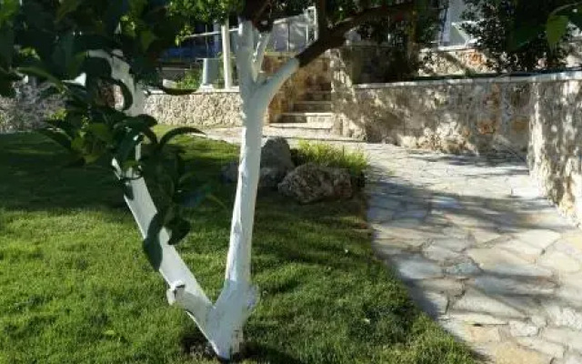 A Vista