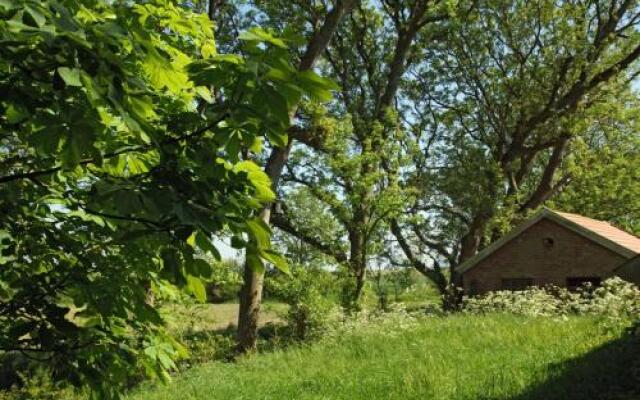 Ferienhaus Mandepolder