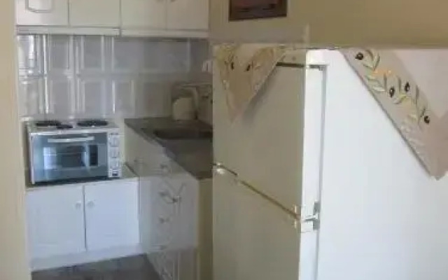 Victor 2