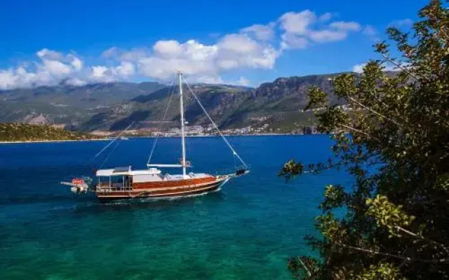 Blue Cruise